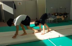 Photo：